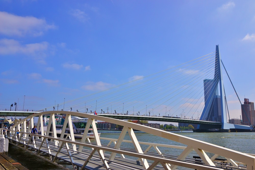 Erasmus bridge, Rotterdam, The Netherlands