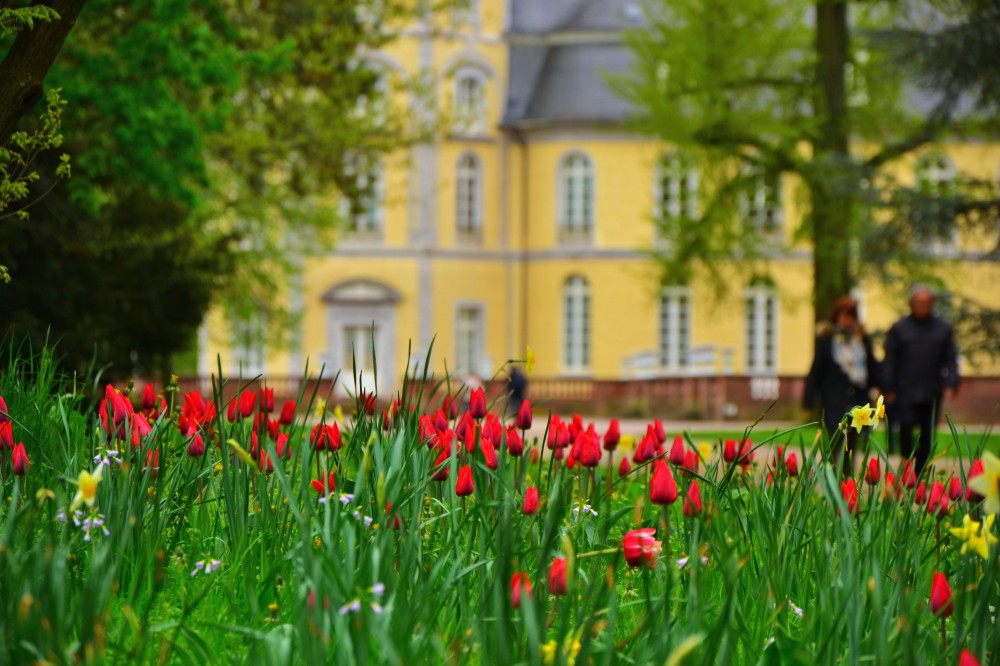 Palace Garden in Karlsruhe, Germany