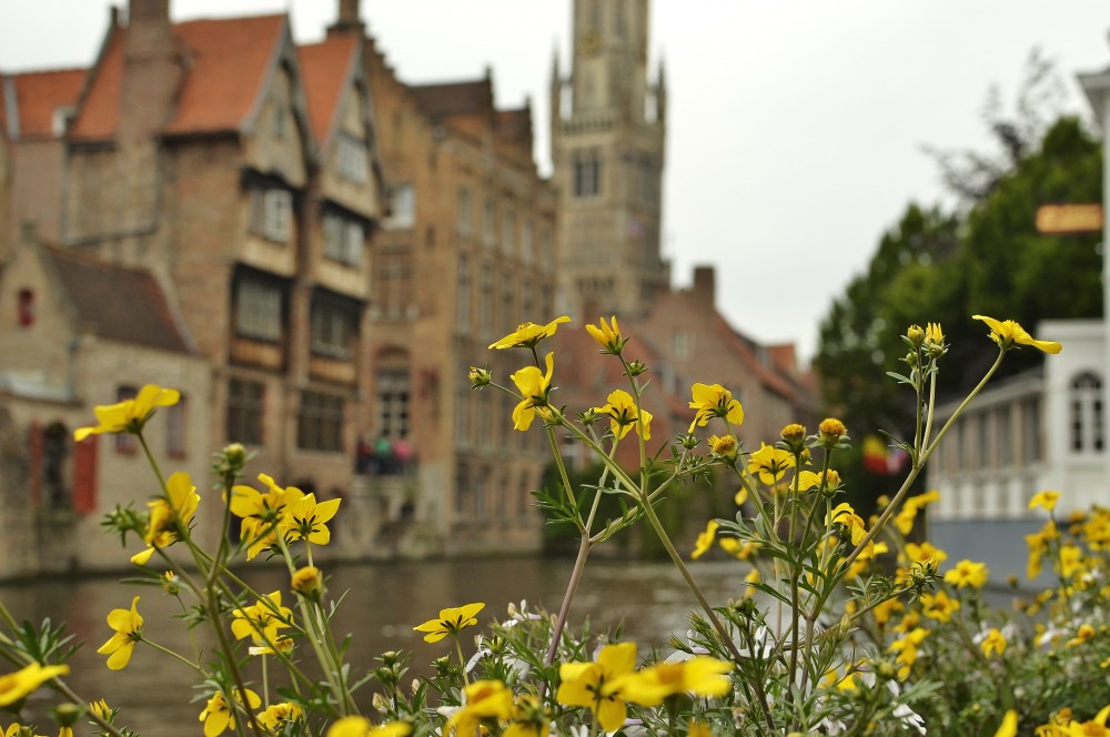 Capture the Color 2013: Bruges