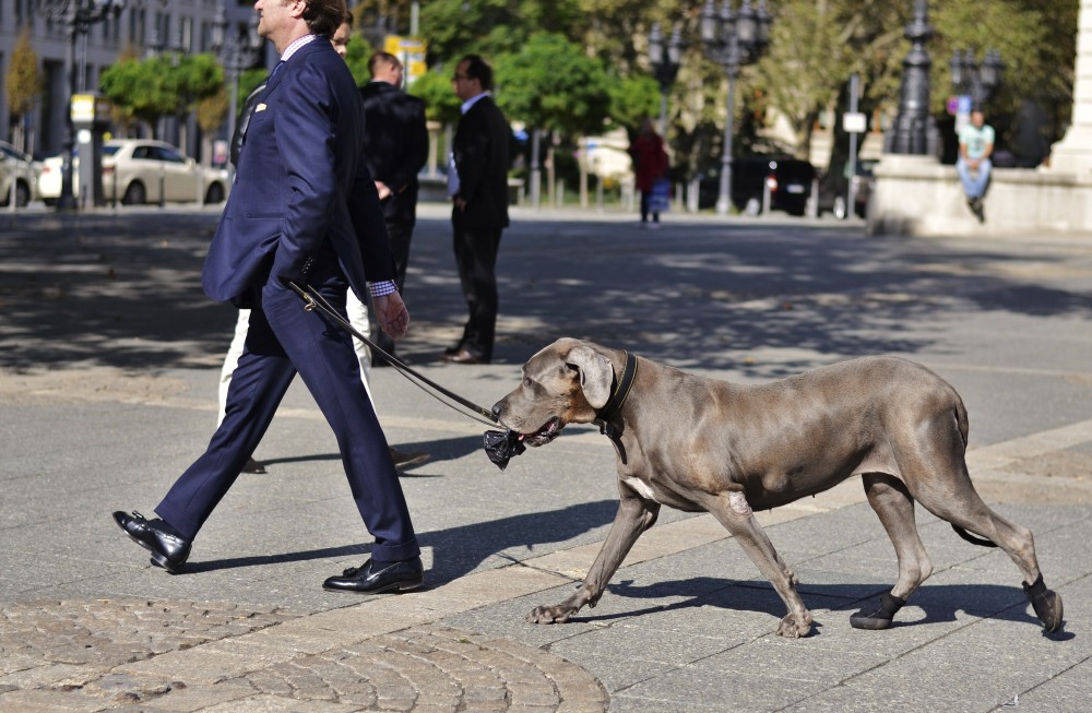 Banker and dog in Frankfurt, Germany