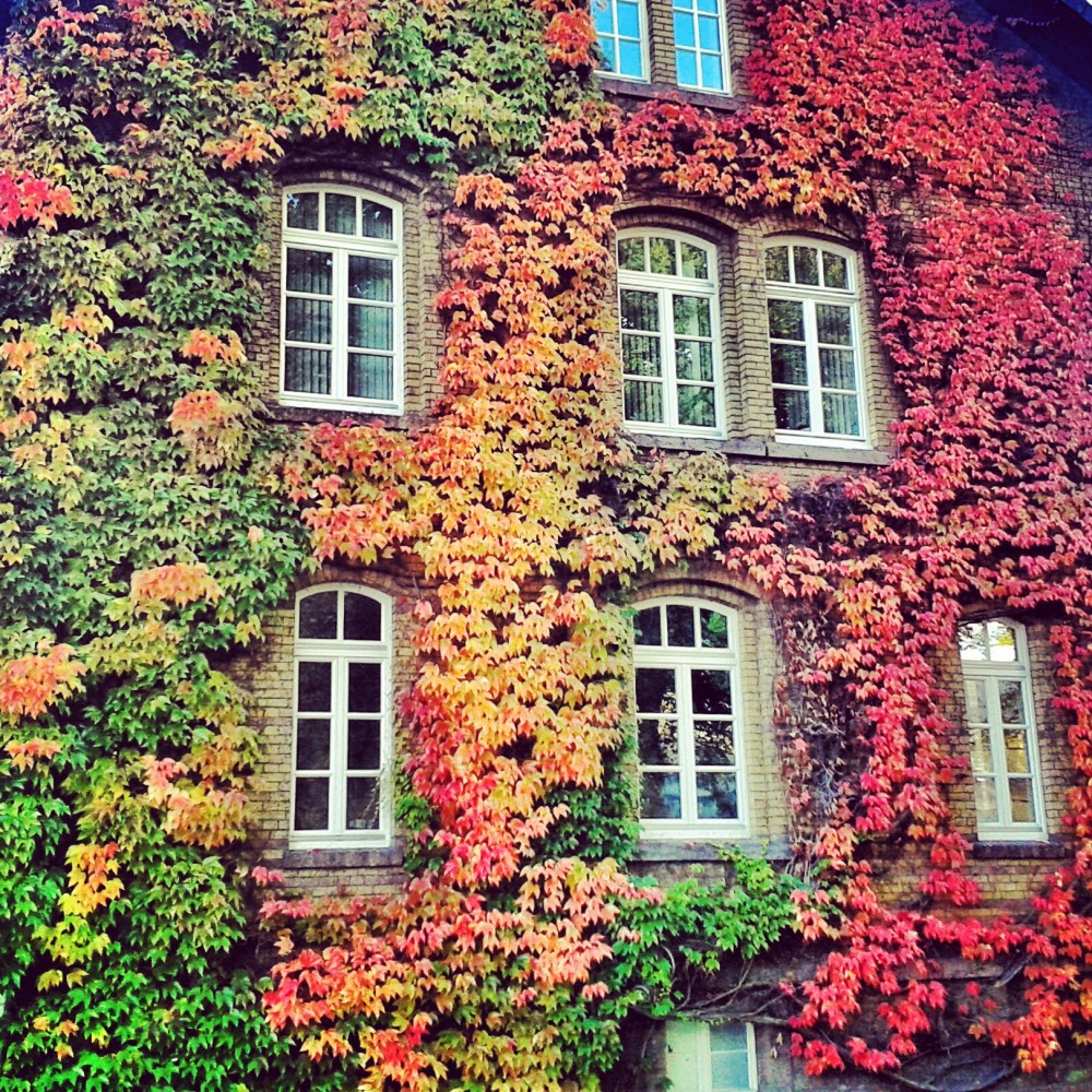 Fall in Germany
