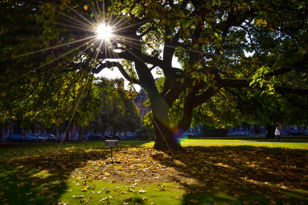 Sunny fall day at Trinity College, Dublin, Ireland