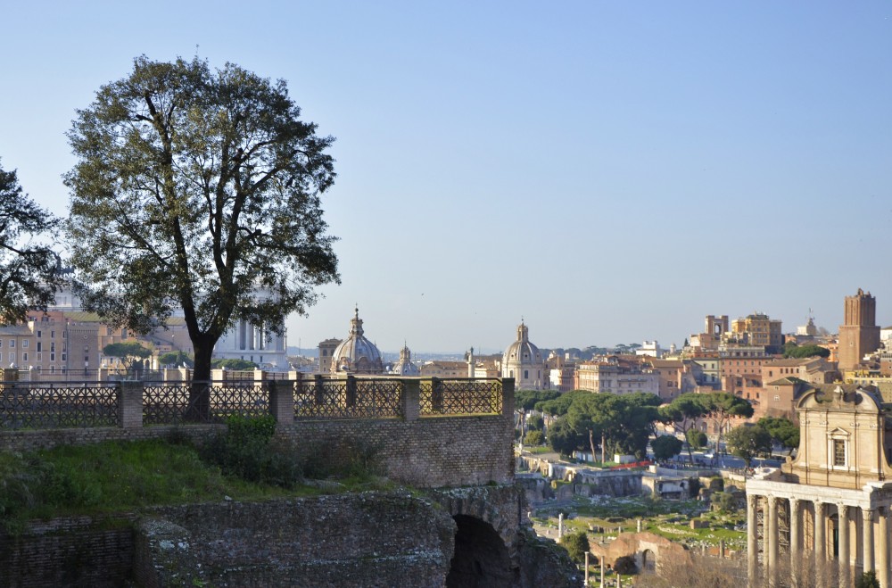 Rome seen from the Palatin Hill