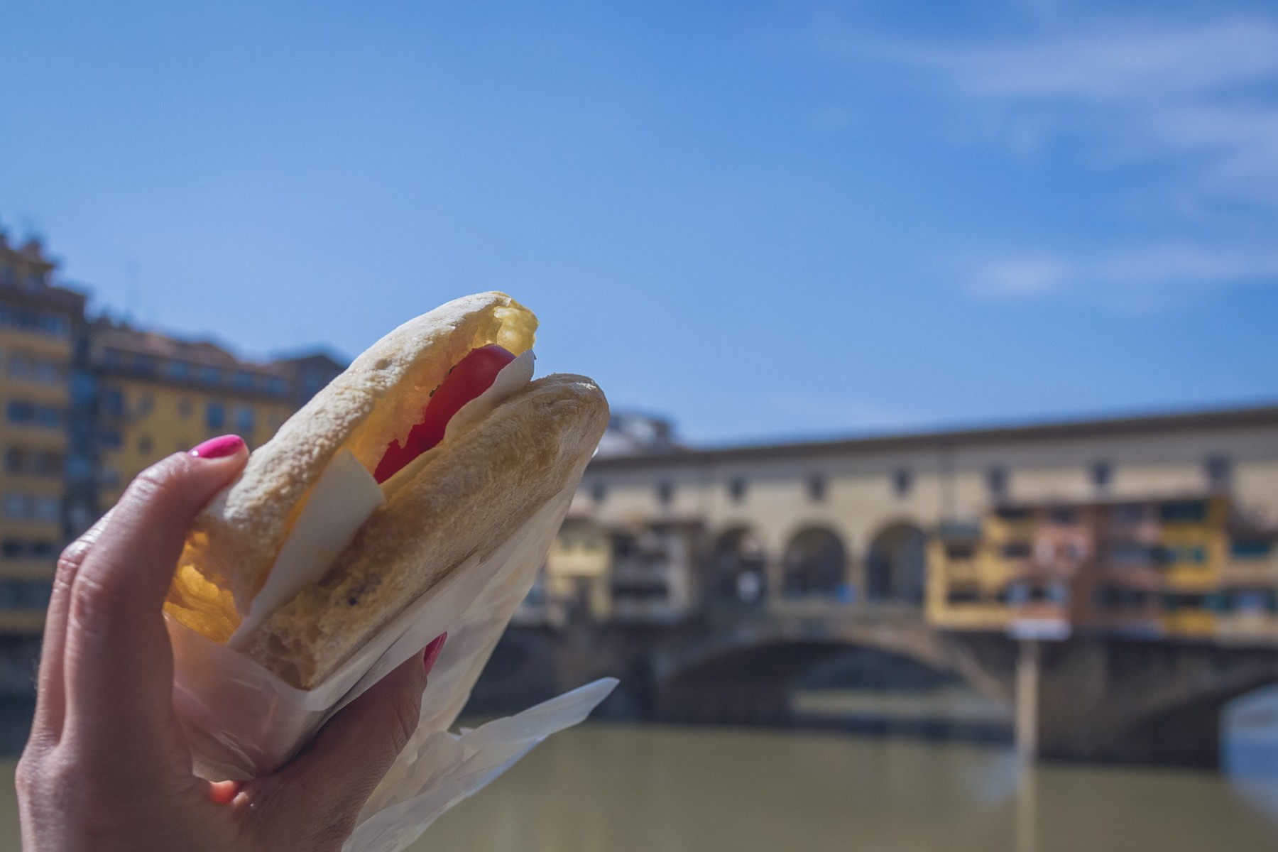 Panino from Ino in Florence, Italy 