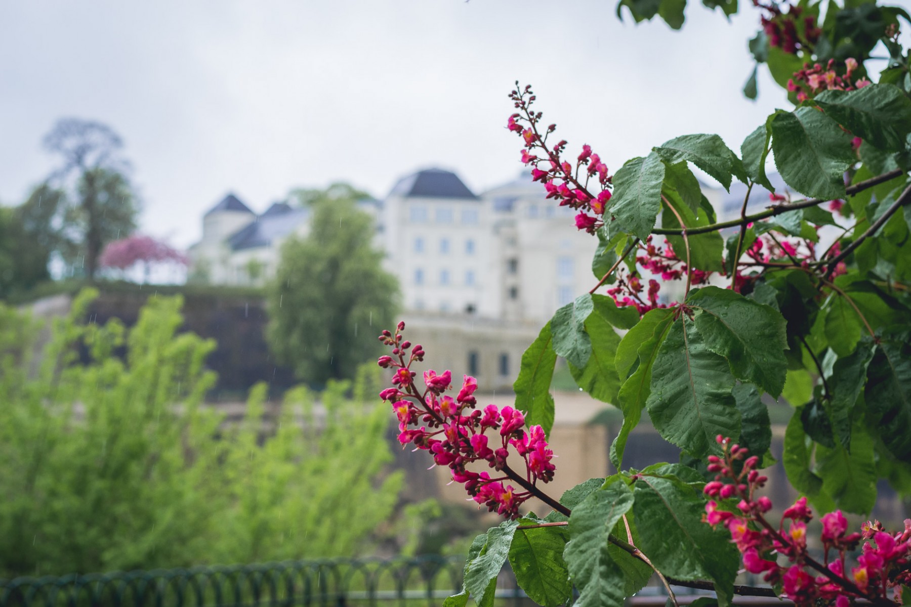 Luxembourg City in May