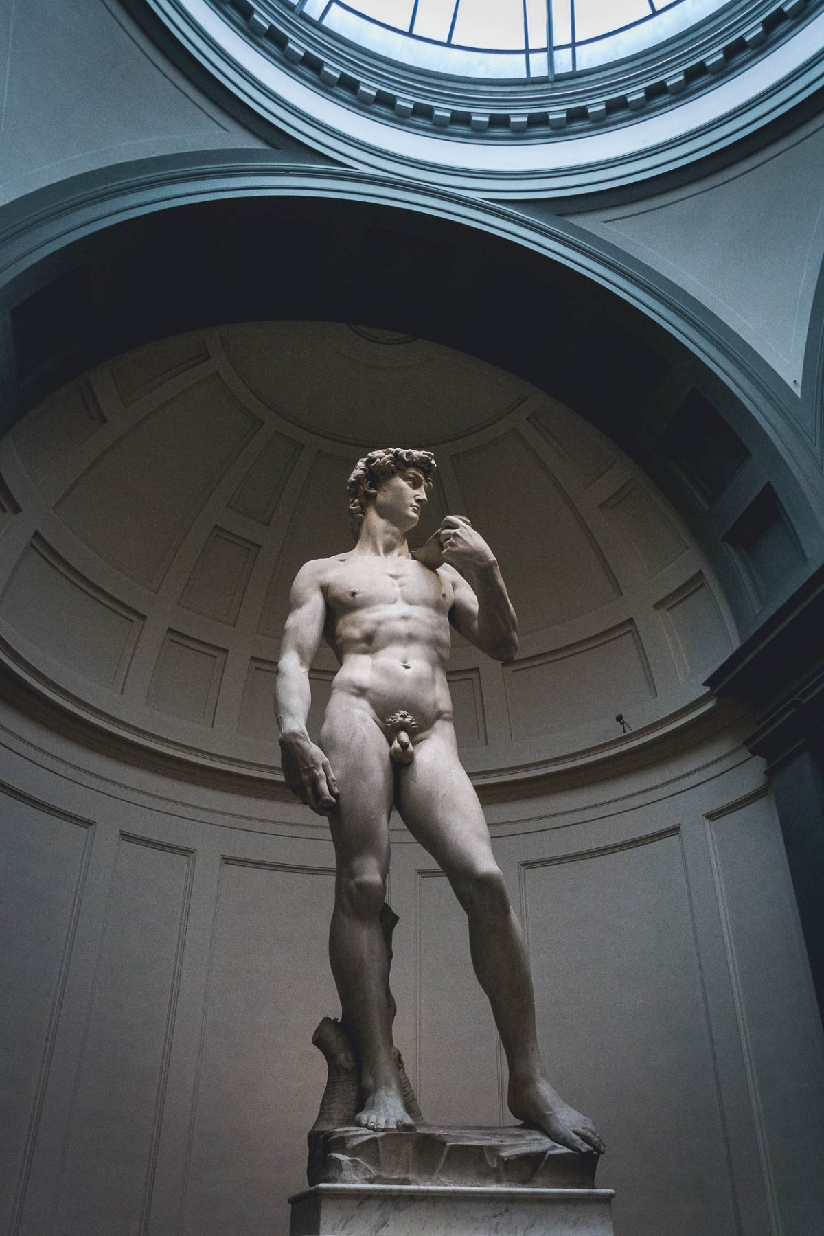 Michelangelo's David, Florence, Italy 