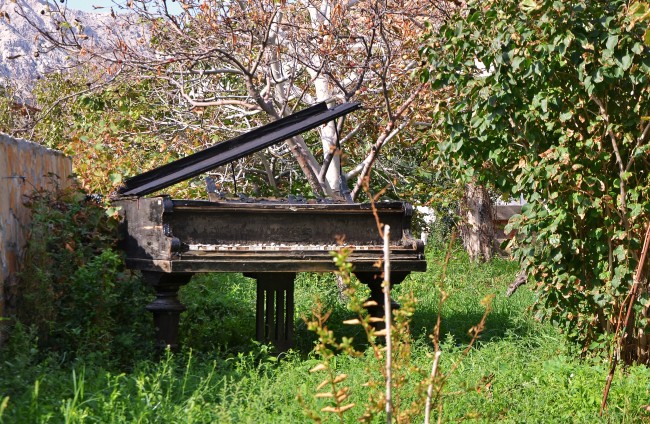 The Old Grand Piano in a Croatian Backyard